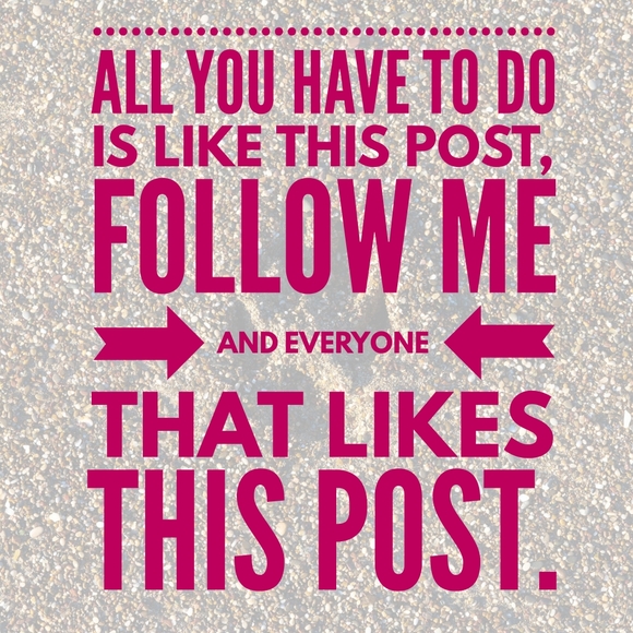 Follow me Game - Picture 3 of 3